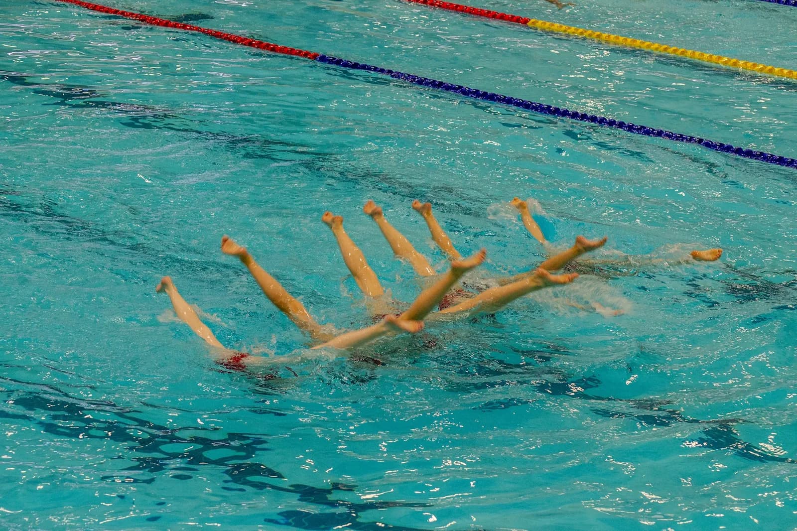 A line of swimmers holding vertical leg positions above the water.
